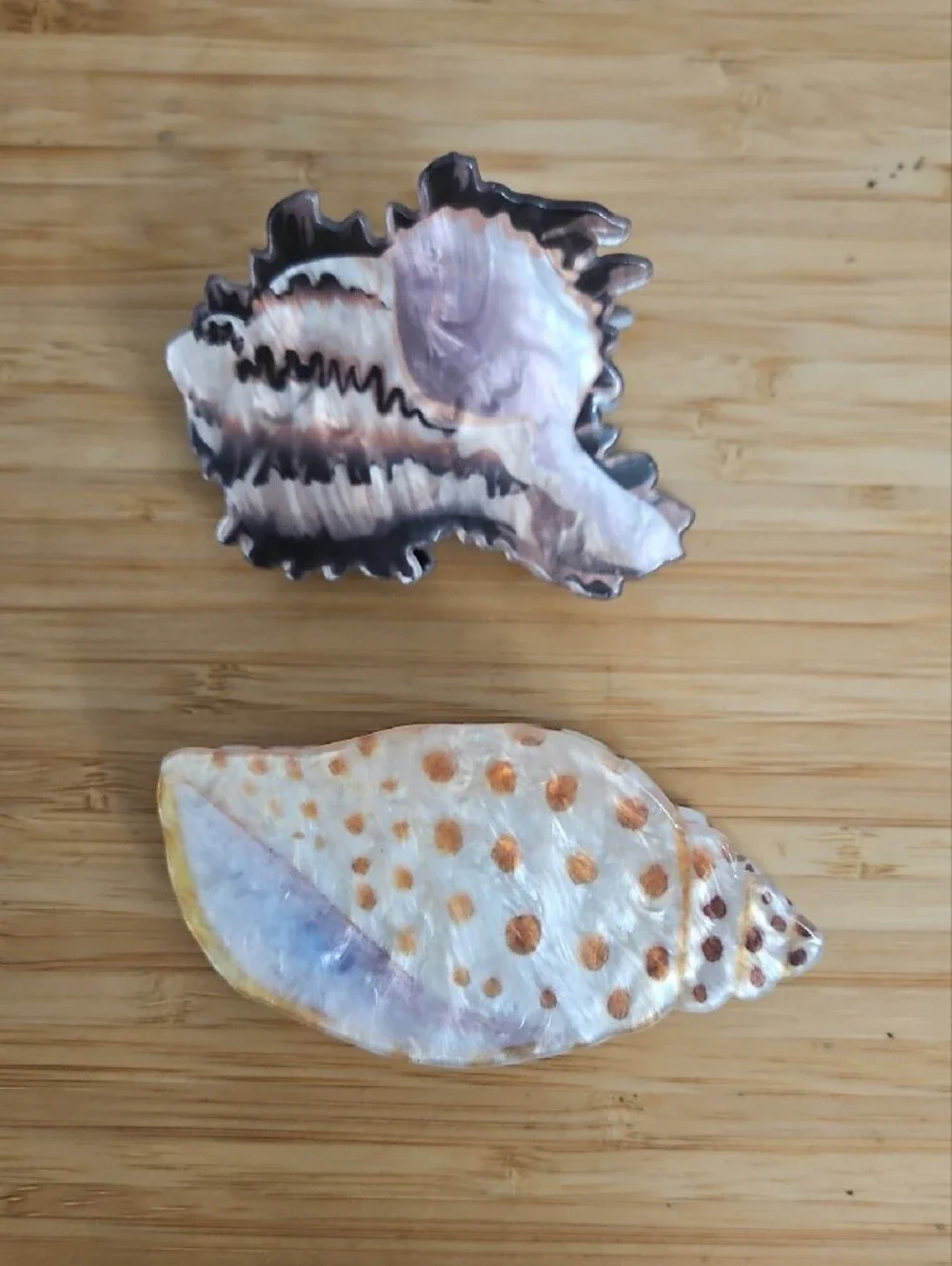 Set Of 2 - Sea Shell Claw Hair Clips